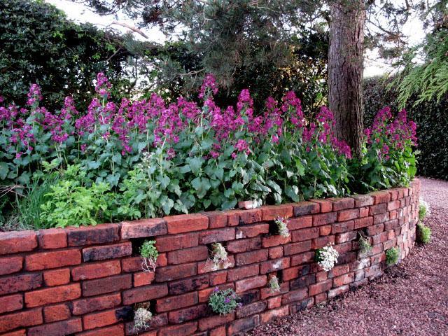 Reighamsyde House Bed & Breakfast Alnwick Exterior foto